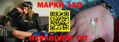 прущие грибы Конаково