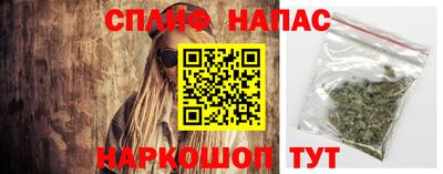 каннабис Кингисепп