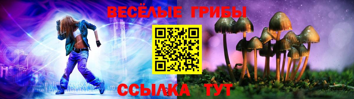 Псилоцибиновые грибы мухоморы Королёв